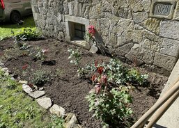 05_Zvelebený záhon s růžemi