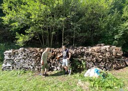 11_Přeskládáná hromada dřeva