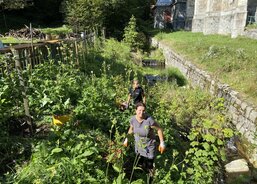 15_Vyplevali jsme svah u fary